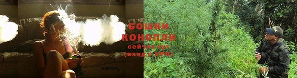 эйфоретик Верея