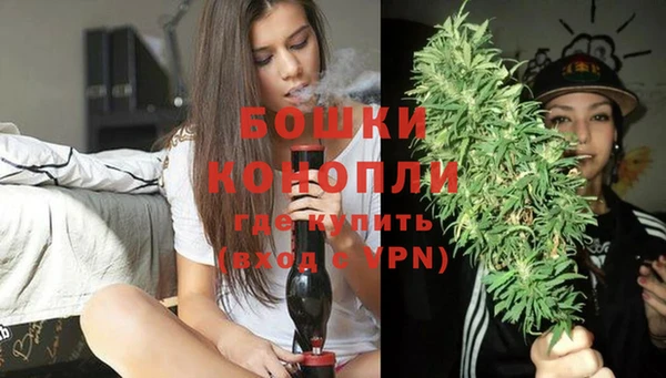 эйфоретик Верея
