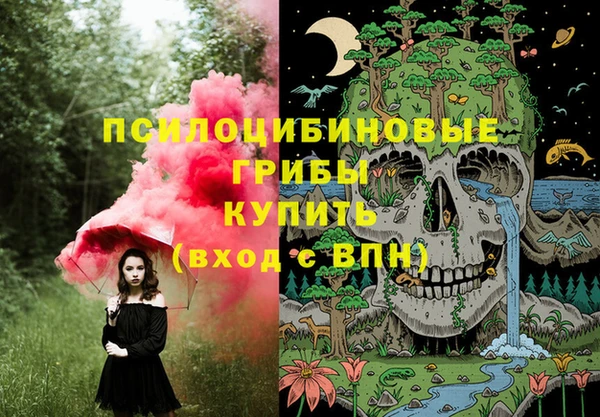 эйфоретик Верея